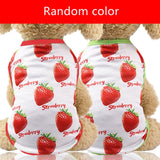 Cotton Pet Clothes Cute Fruit Pattern