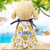 Cotton Pet Clothes Cute Fruit Pattern