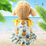 Cotton Pet Clothes Cute Fruit Pattern