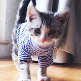 Warm Cat Clothes Autumn Winter