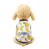 Sweet Pet Dog Couple Wear Summer