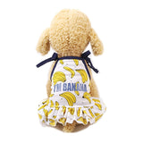 Sweet Pet Dog Couple Wear Summer