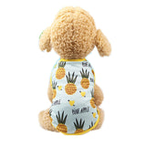 Sweet Pet Dog Couple Wear Summer