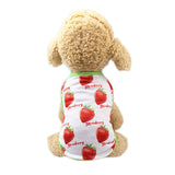 Sweet Pet Dog Couple Wear Summer