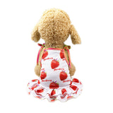 Sweet Pet Dog Couple Wear Summer