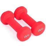 Home Fitness Yoga ladies dumbbell