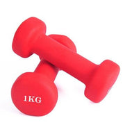 Home Fitness Yoga ladies dumbbell