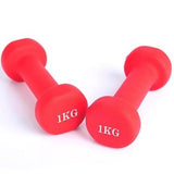 Home Fitness Yoga ladies dumbbell